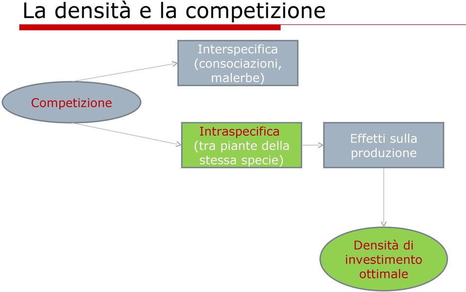 Intraspecifica (tra piante della stessa