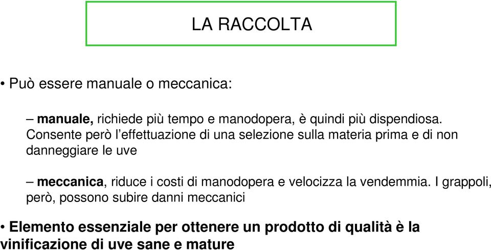 Consente però l effettuazione di una selezione sulla materia prima e di non danneggiare le uve