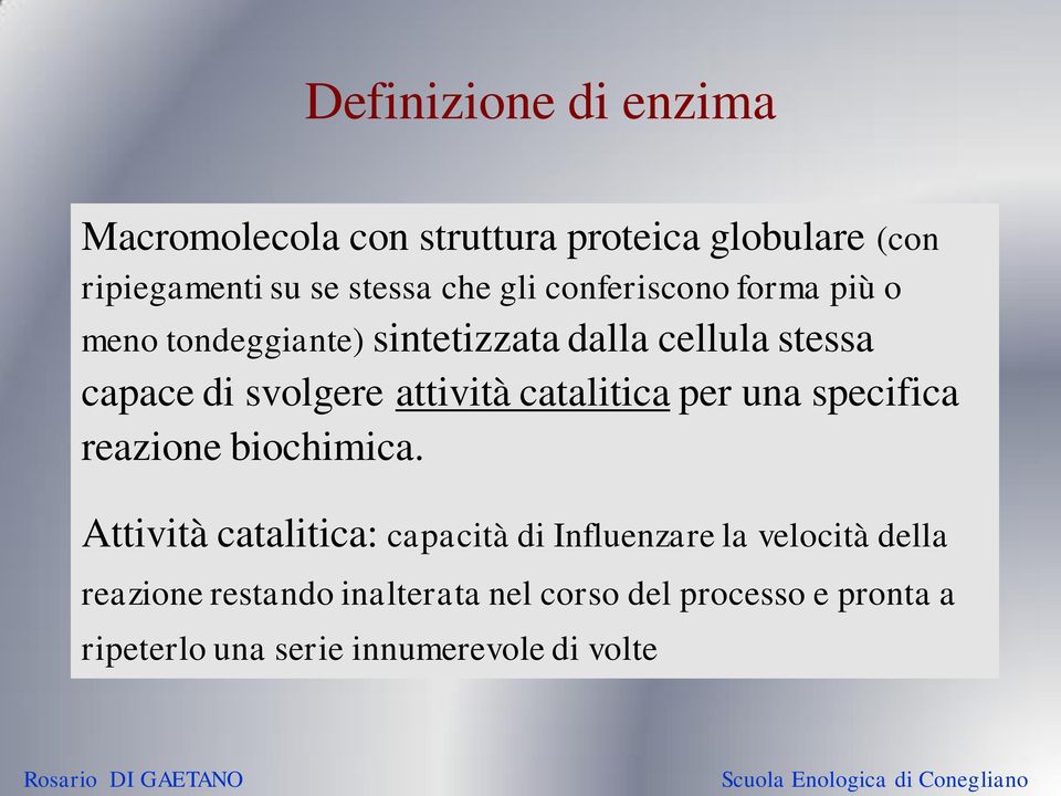 catalitica per una specifica reazione biochimica.