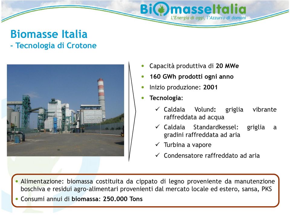 Turbina a vapore Condensatore raffreddato ad aria Alimentazione: biomassa costituita da cippato di legno proveniente da