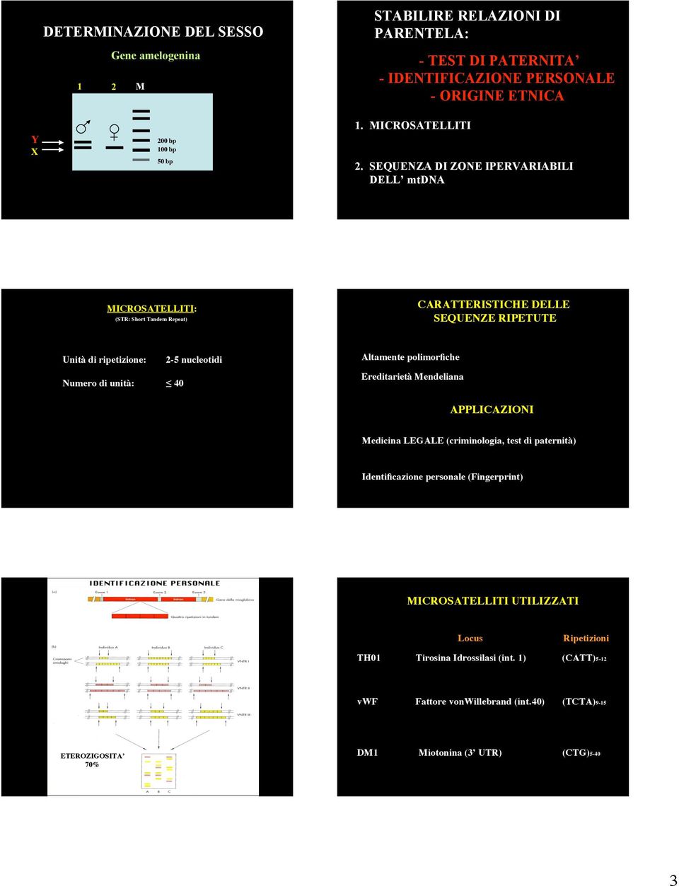 SEQUENZA DI ZONE IPERVARIABILI DELL mtdna MICROSATELLITI: (STR: Short Tandem Repeat) CARATTERISTICHE DELLE SEQUENZE RIPETUTE Unità di ripetizione: Numero di unità: 40 2-5