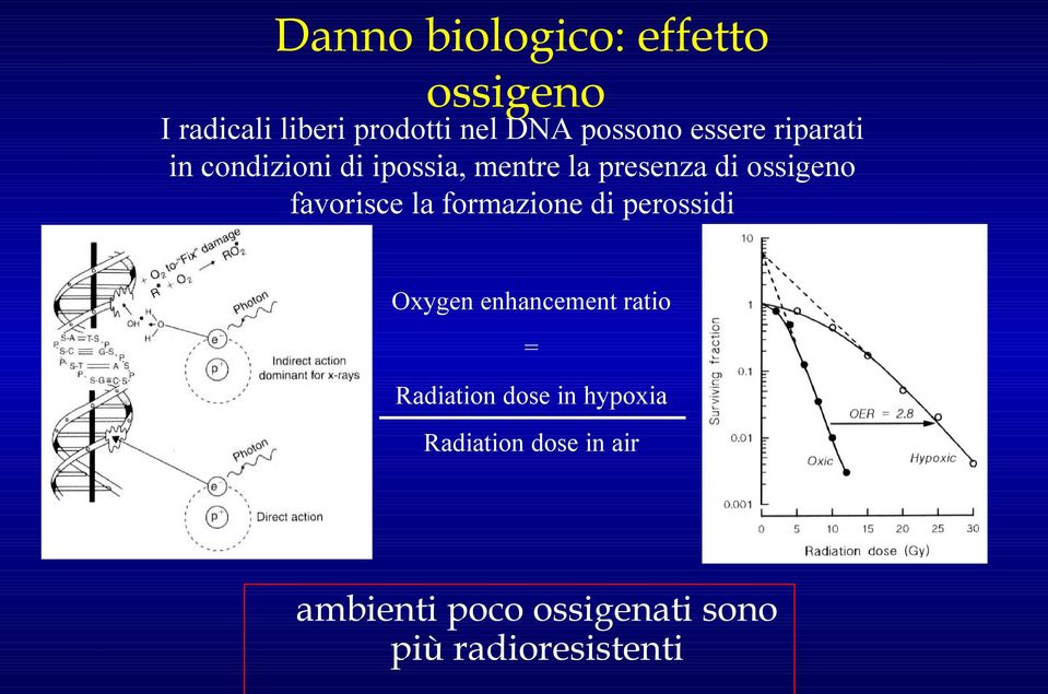 favorisce la formazione di perossidi Oxygen enhancement ratio = Radiation