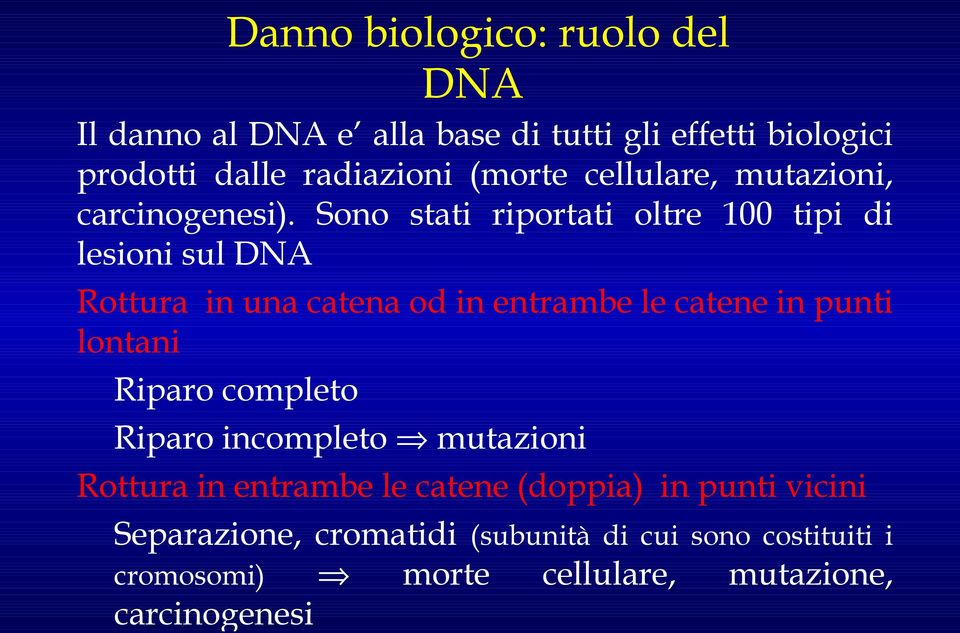 Sono stati riportati oltre 100 tipi di lesioni sul DNA Rottura in una catena od in entrambe le catene in punti lontani