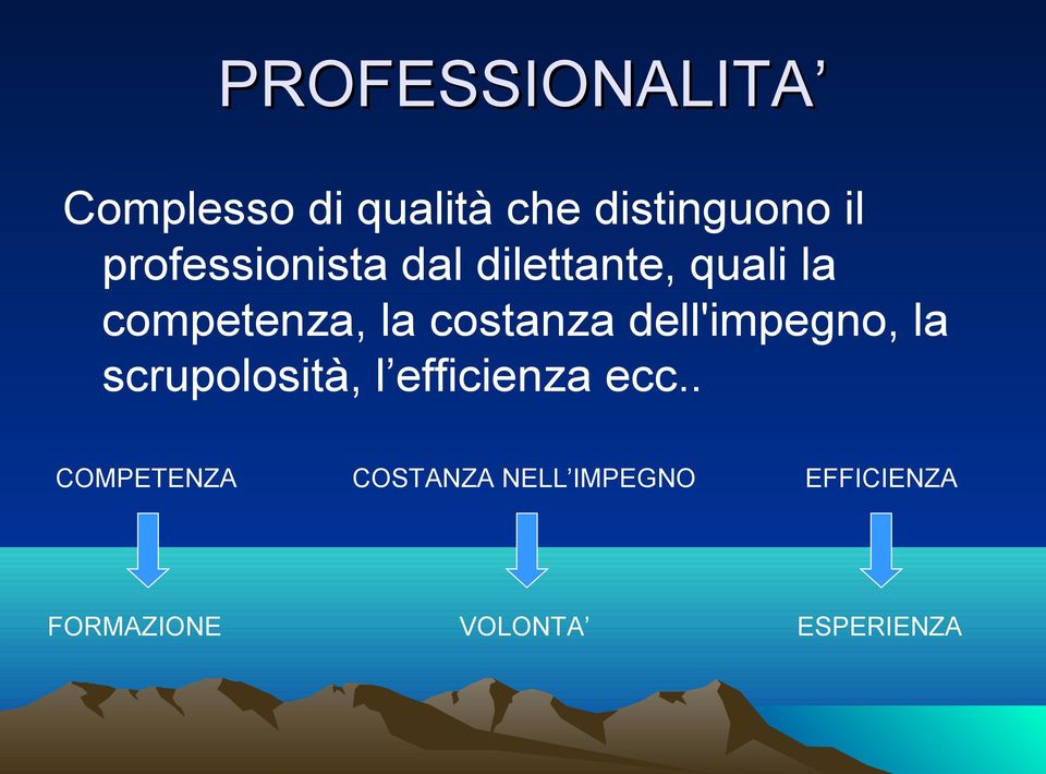 costanza dell'impegno, la scrupolosità, l efficienza ecc.