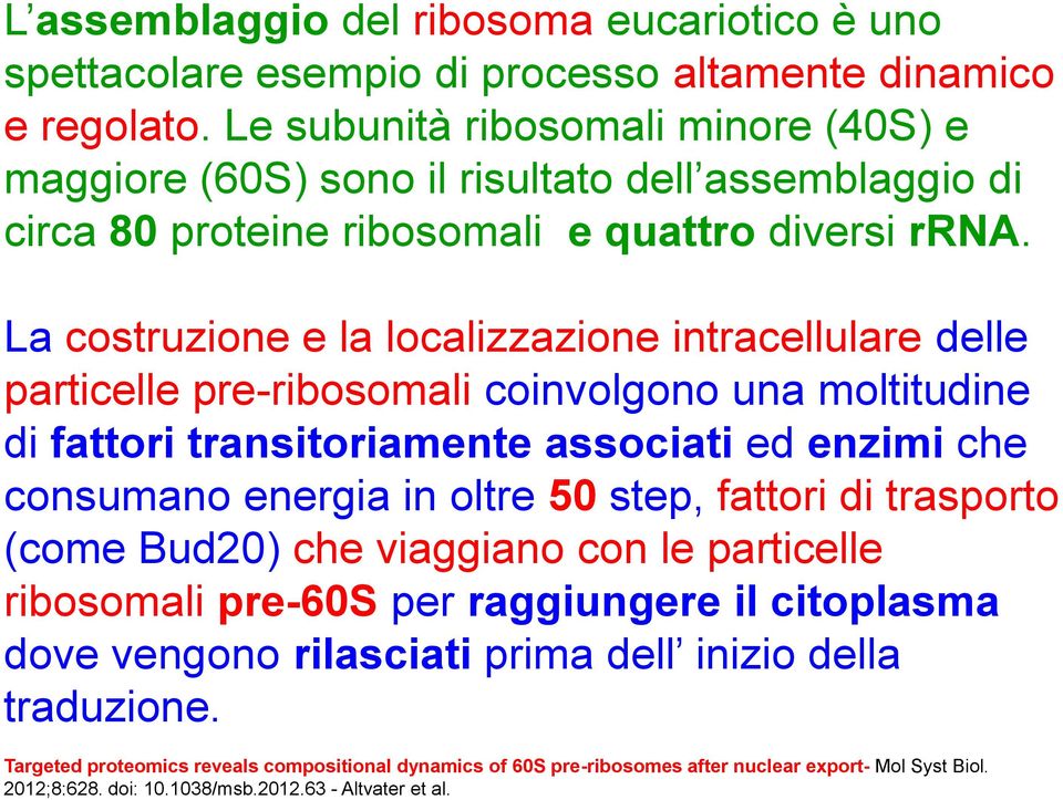 La costruzione e la localizzazione intracellulare delle particelle pre-ribosomali coinvolgono una moltitudine di fattori transitoriamente associati ed enzimi che consumano energia in oltre 50 step,