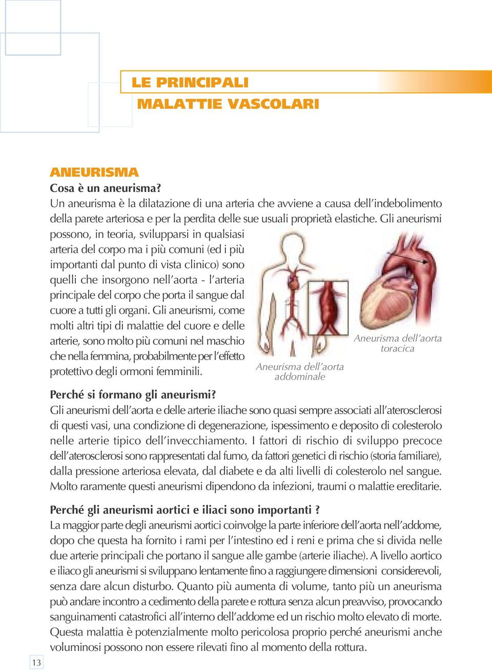 Gli aneurismi possono, in teoria, svilupparsi in qualsiasi arteria del corpo ma i più comuni (ed i più importanti dal punto di vista clinico) sono quelli che insorgono nell aorta - l arteria