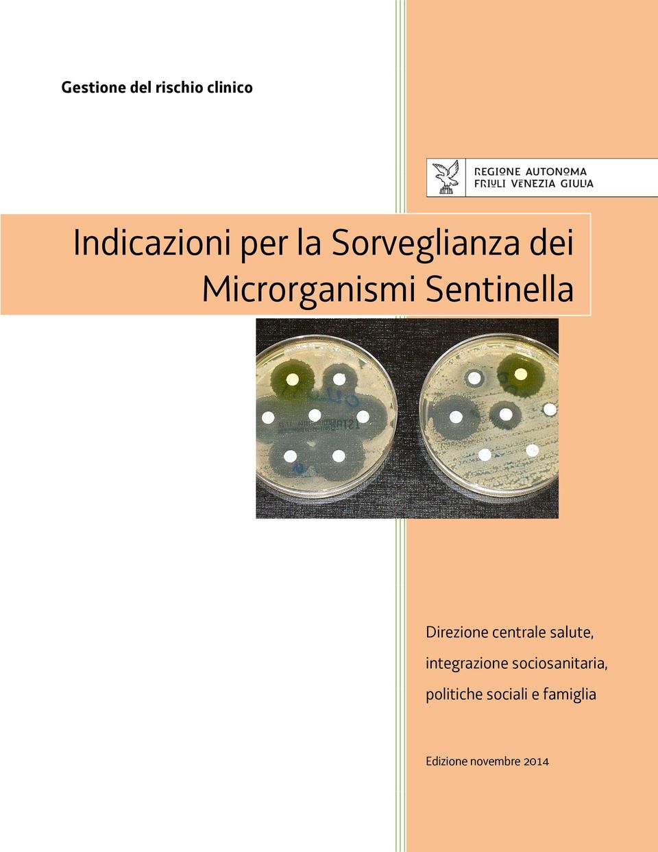 sociosanitaria, Direzione politiche sociali centrale e famiglia