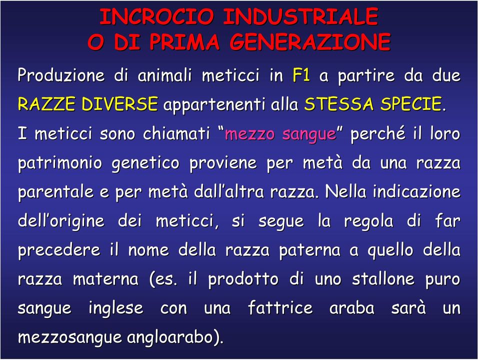 I meticci sono chiamati mezzo sangue perché il loro patrimonio genetico proviene per metà da una razza parentale e per metà dall altra