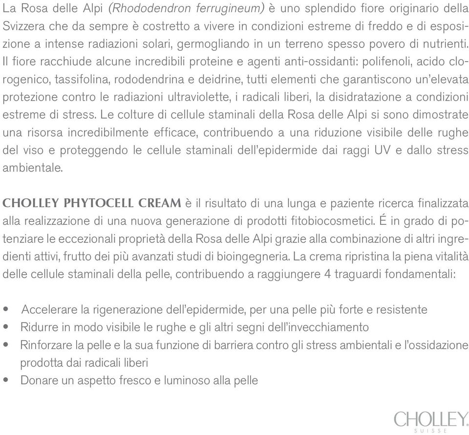 Il fiore racchiude alcune incredibili proteine e agenti anti-ossidanti: polifenoli, acido clorogenico, tassifolina, rododendrina e deidrine, tutti elementi che garantiscono un elevata protezione