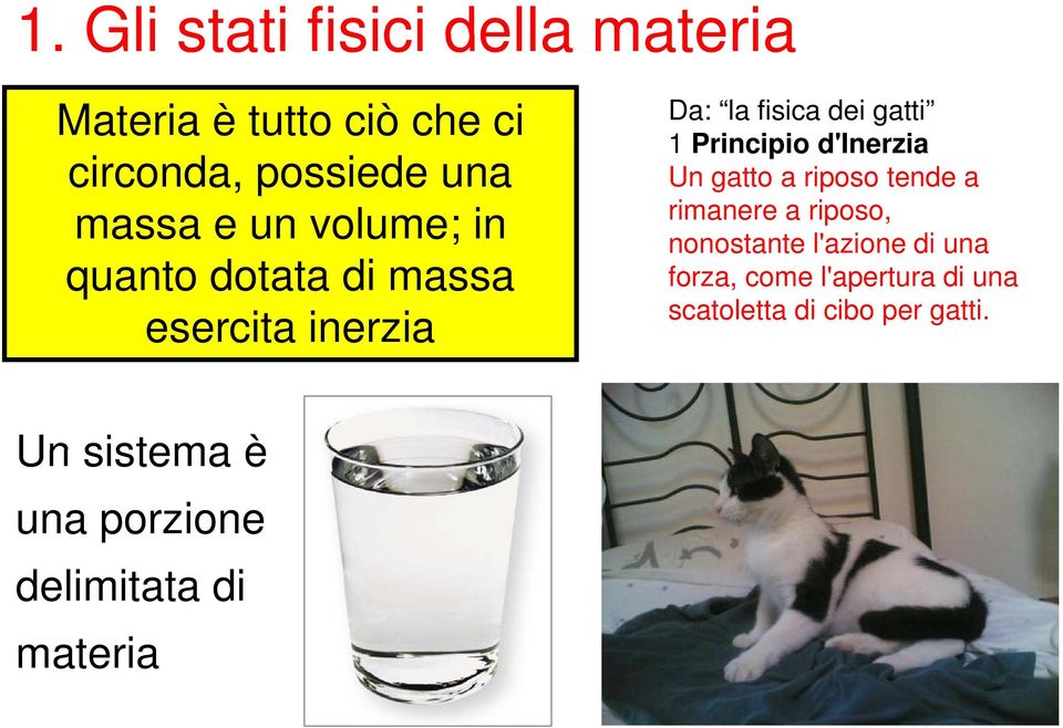 d'inerzia Un gatto a riposo tende a rimanere a riposo, nonostante l'azione di una forza, come