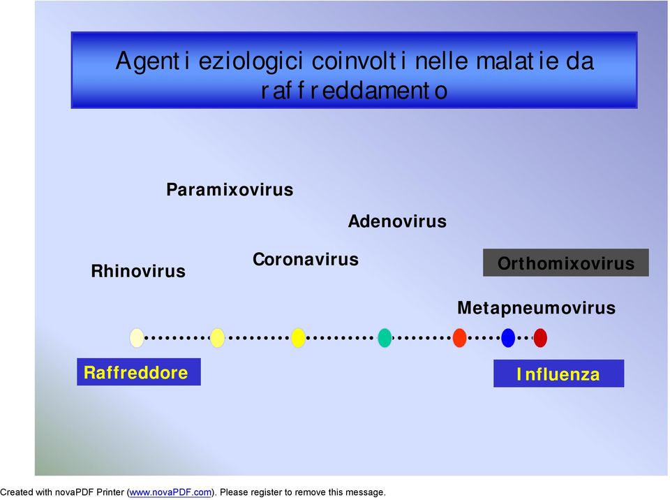 Adenovirus Rhinovirus Coronavirus