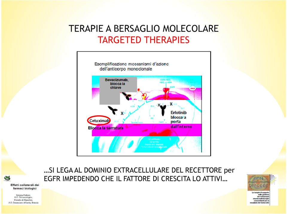 RECETTORE per EGFR