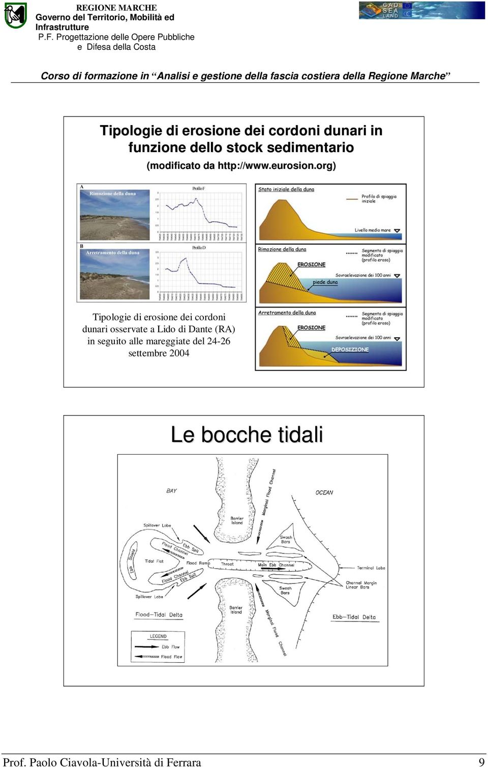 org) Tipologie di erosione dei cordoni dunari osservate a Lido di Dante