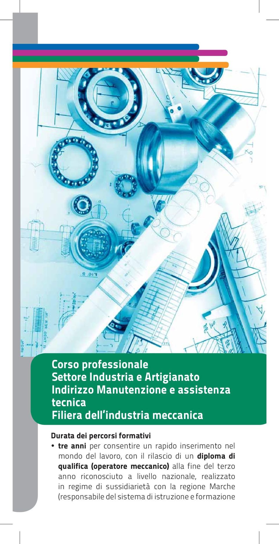 lavoro, con il rilascio di un diploma di qualifica (operatore meccanico) alla fine del terzo anno riconosciuto a