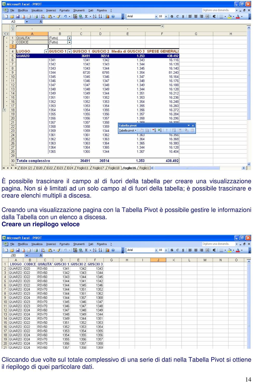 Creando una visualizzazione pagina con la Tabella Pivot è possibile gestire le informazioni dalla Tabella con un elenco a