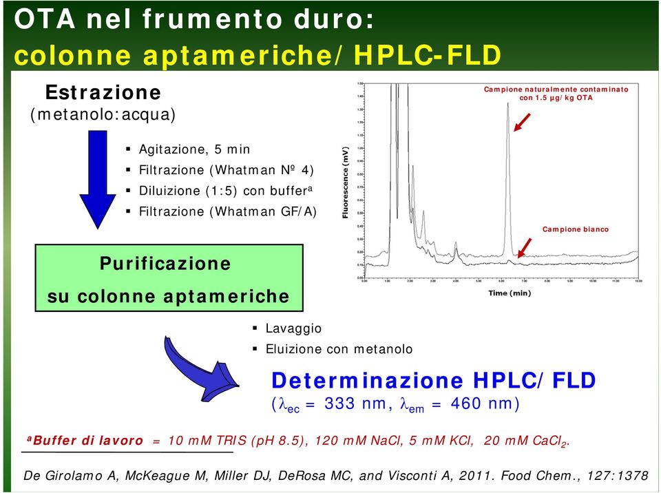 5 µg/kg OTA Campione bianco Purificazione su colonne aptameriche Lavaggio Eluizione con metanolo Determinazione HPLC/FLD (λ ec = 333