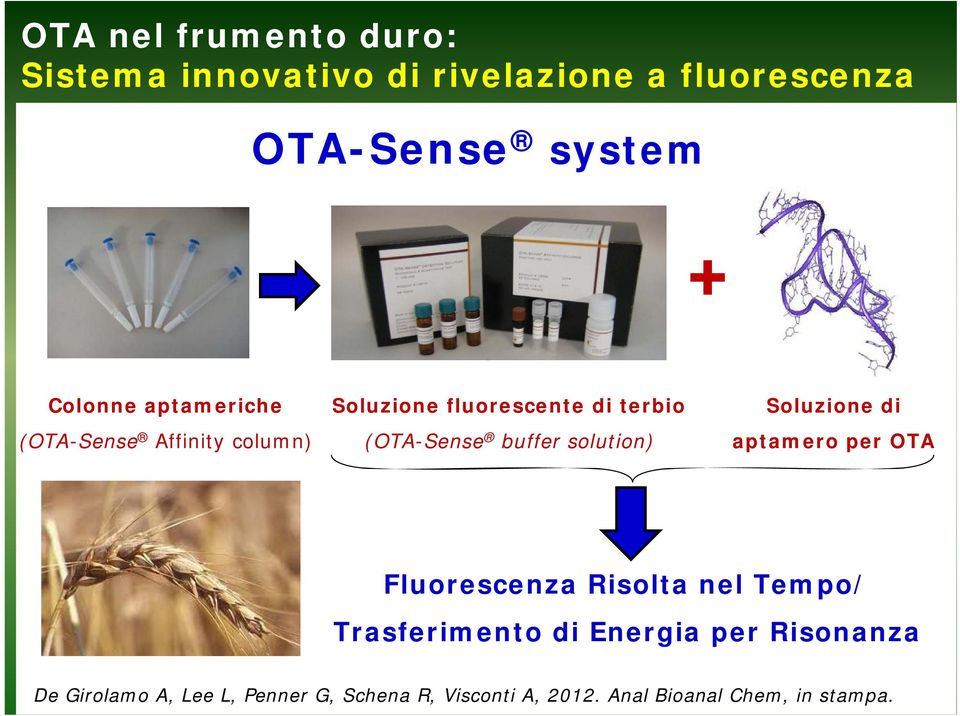 (OTA-Sense buffer solution) aptamero per OTA Fluorescenza Risolta nel Tempo/ Trasferimento di