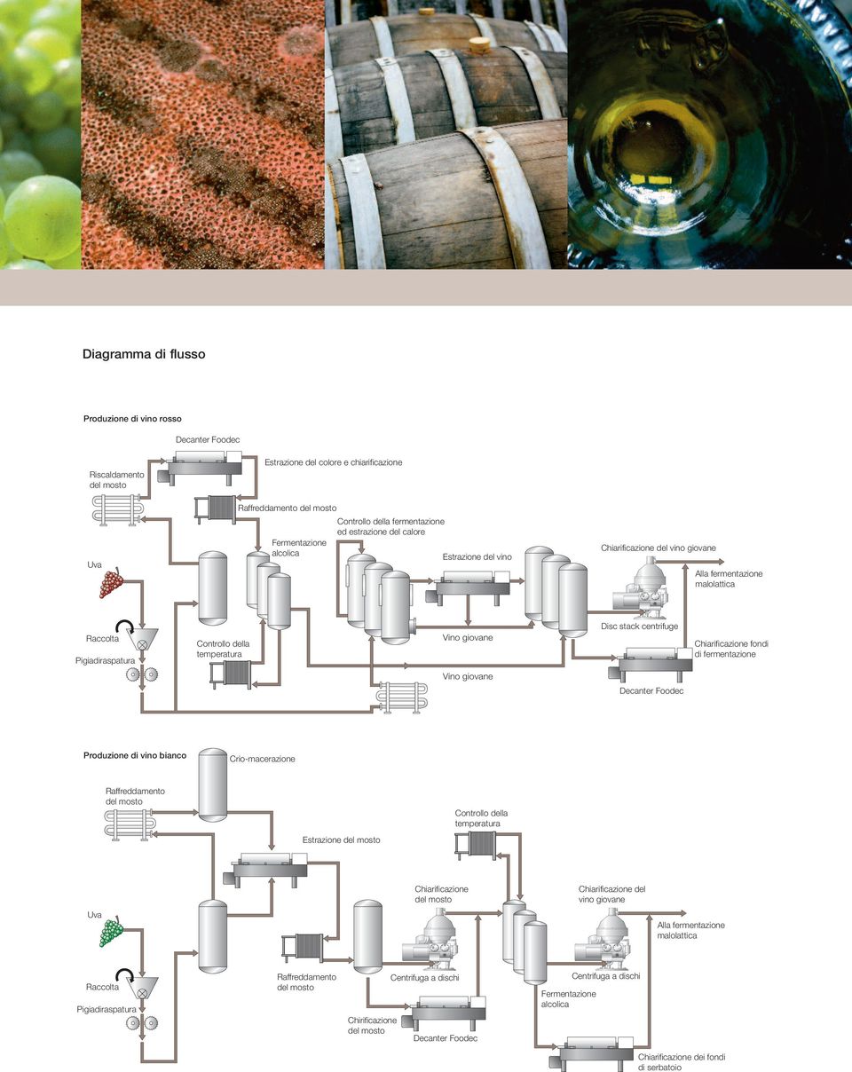 Chiarificazione fondi di fermentazione Vino giovane Decanter Foodec Produzione di vino bianco Crio-macerazione Raffreddamento Estrazione Controllo della temperatura Chiarificazione Chiarificazione
