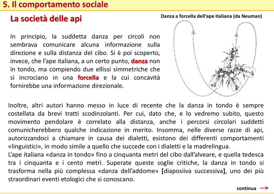 informazione direzionale. Inoltre, altri autori hanno messo in luce di recente che la danza in tondo è sempre costellata da brevi tratti scodinzolanti.