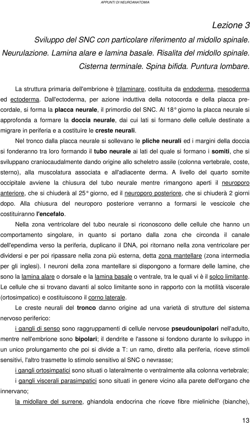 Dall'ectoderma, per azione induttiva della notocorda e della placca precordale, si forma la placca neurale, il primordio del SNC.