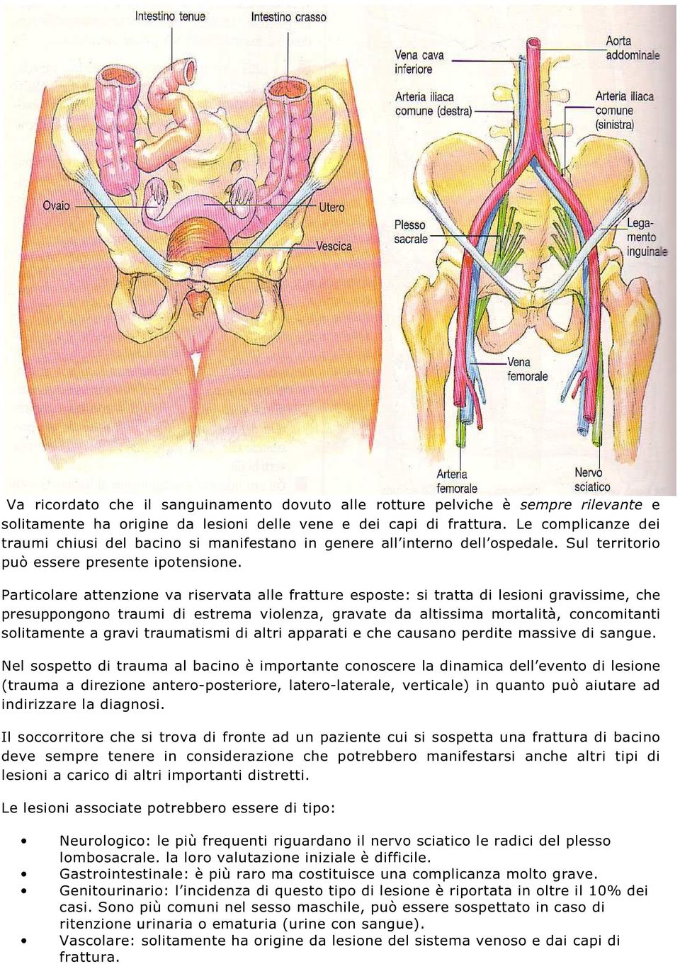 Particolare attenzione va riservata alle fratture esposte: si tratta di lesioni gravissime, che presuppongono traumi di estrema violenza, gravate da altissima mortalità, concomitanti solitamente a