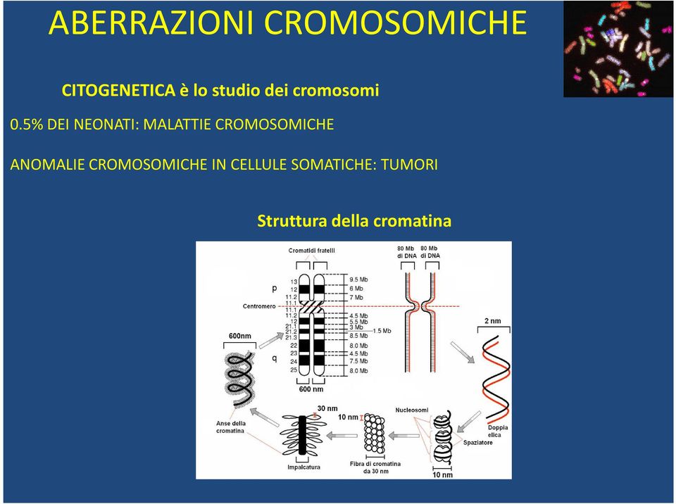 5% DEI NEONATI: MALATTIE CROMOSOMICHE