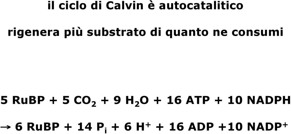 consumi 5 RuBP + 5 CO 2 + 9 H 2 O + 16 ATP