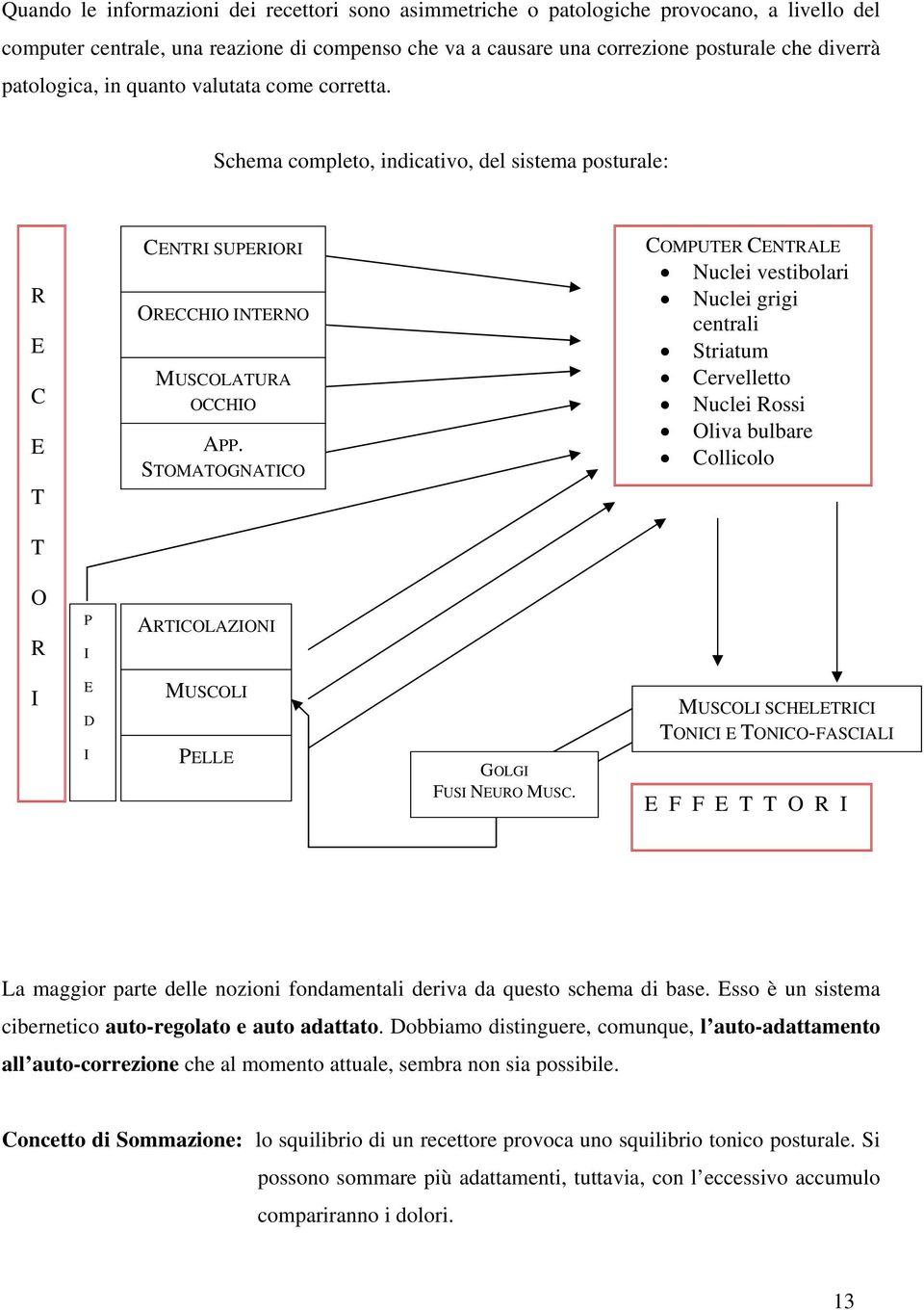 STOMATOGNATICO COMPUTER CENTRALE Nuclei vestibolari Nuclei grigi centrali Striatum Cervelletto Nuclei Rossi Oliva bulbare Collicolo O R P I ARTICOLAZIONI I E D I MUSCOLI PELLE GOLGI FUSI NEURO MUSC.