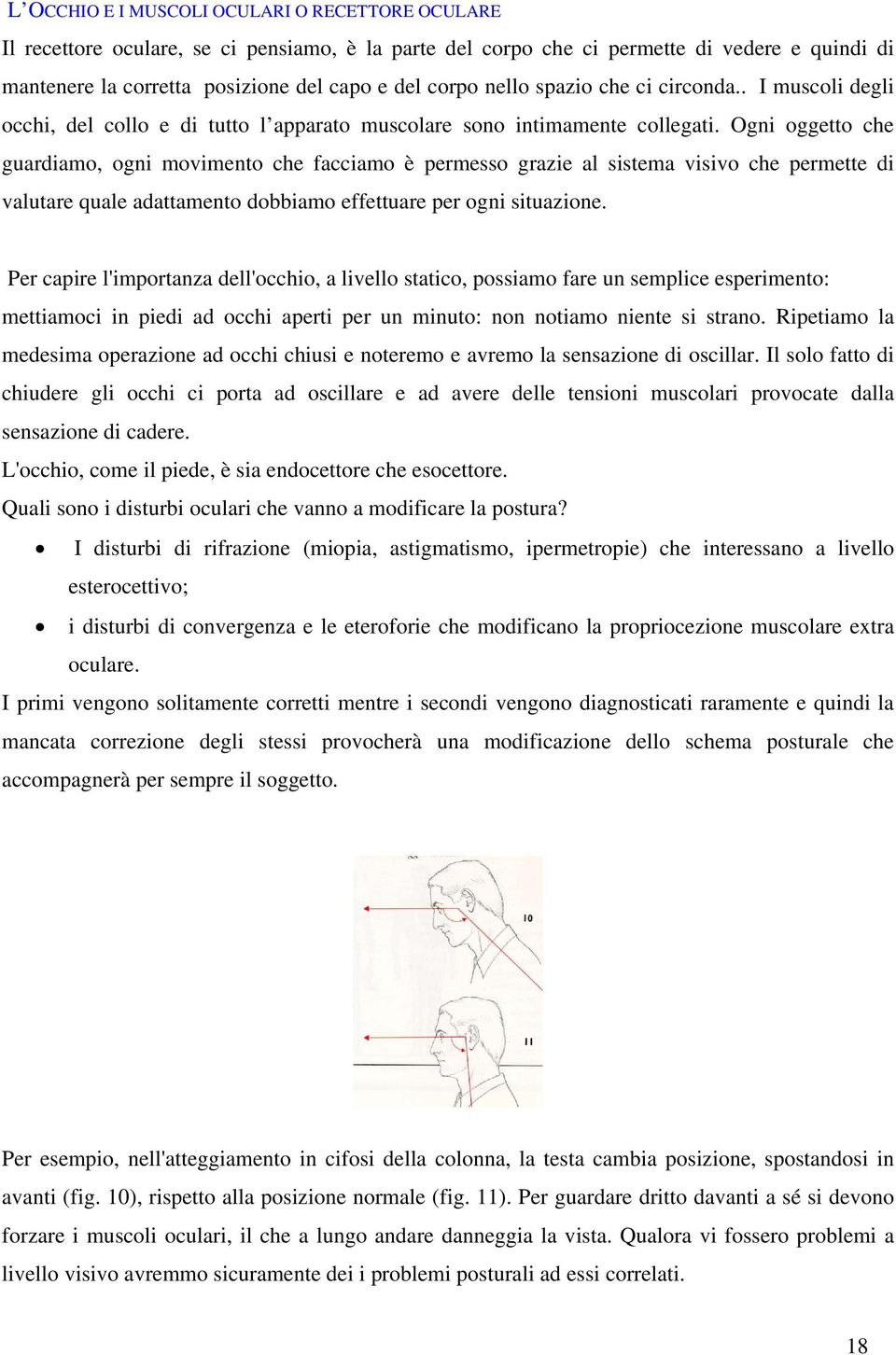 Ogni oggetto che guardiamo, ogni movimento che facciamo è permesso grazie al sistema visivo che permette di valutare quale adattamento dobbiamo effettuare per ogni situazione.