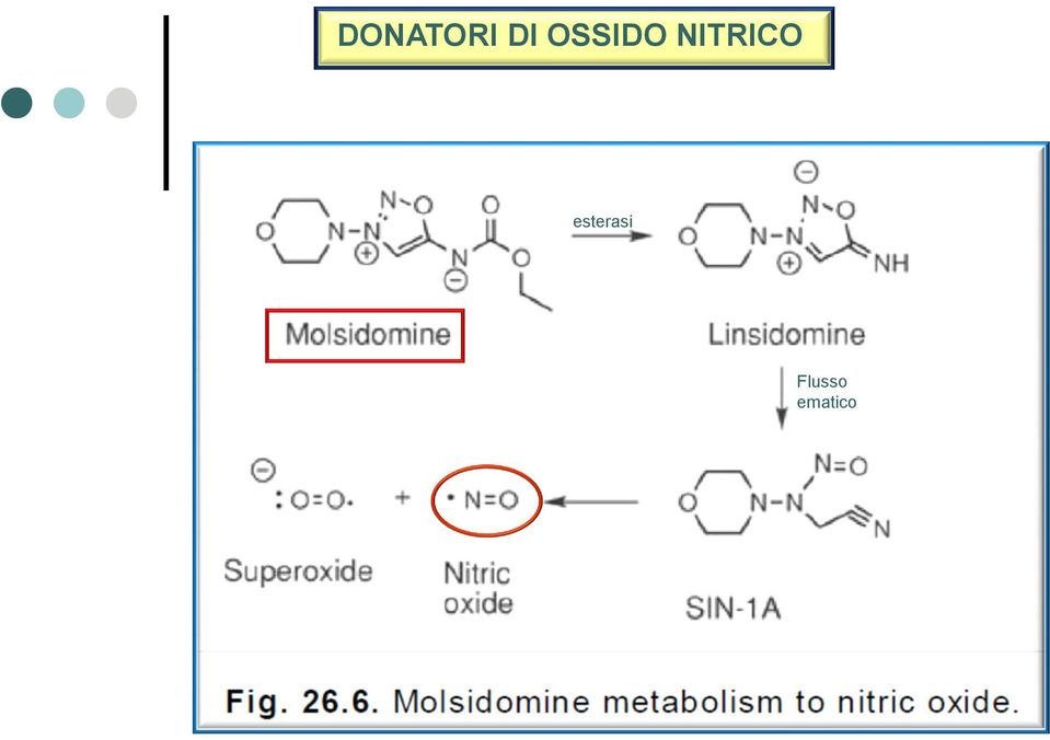 NITRICO