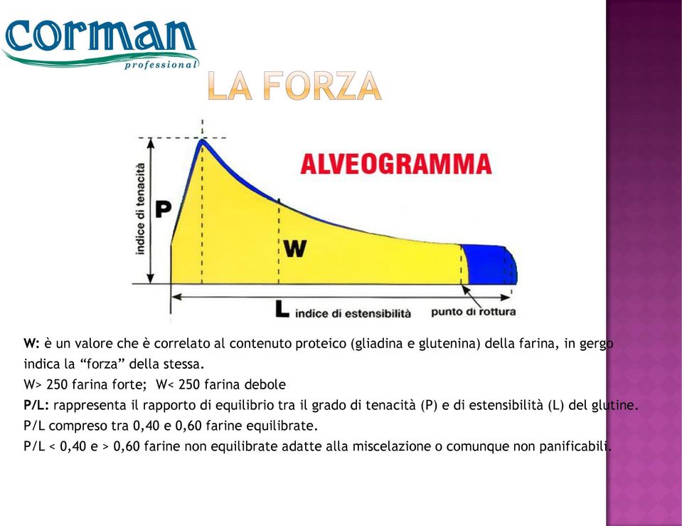 W> 250 farina forte; W< 250 farina debole P/L: rappresenta il rapporto di equilibrio tra il grado di