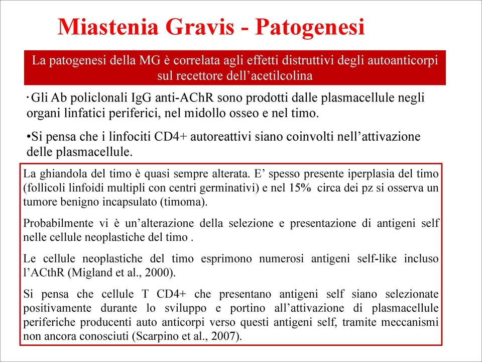 La ghiandola del timo è quasi sempre alterata.