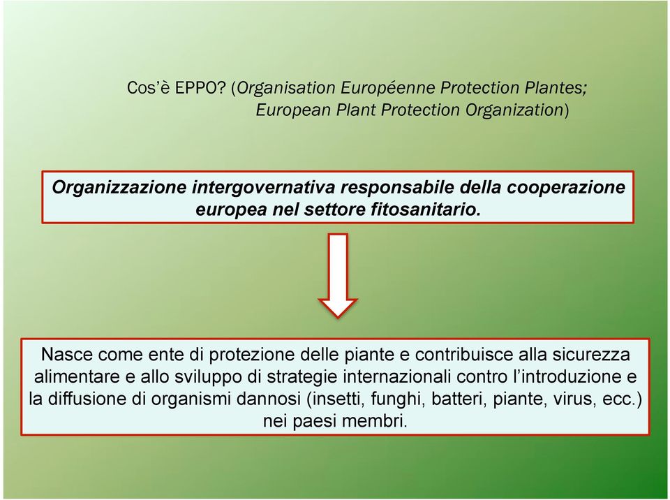 intergovernativa responsabile della cooperazione europea nel settore fitosanitario.