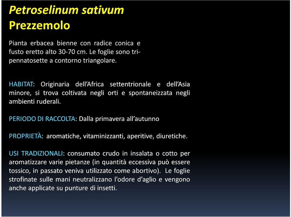 PERIODO DI RACCOLTA: Dalla primavera all autunno PROPRIETÀ: aromatiche, vitaminizzanti, aperitive, diuretiche.