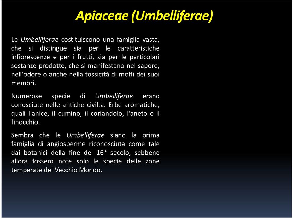 Ferula communis Numerose specie di Umbelliferae erano conosciute nelle antiche civiltà.