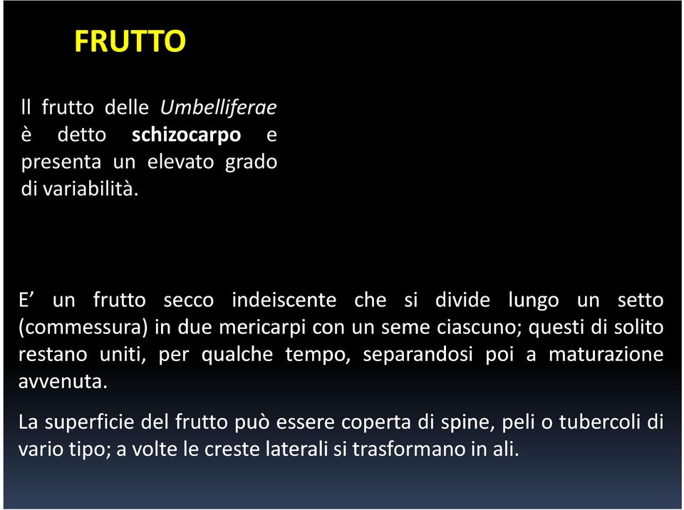 ciascuno; questi di solito restano uniti, per qualche tempo, separandosi poi a maturazione avvenuta.