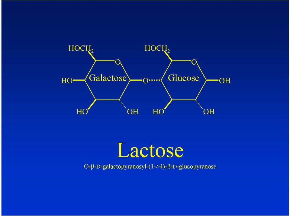 OH HO OH Lactose