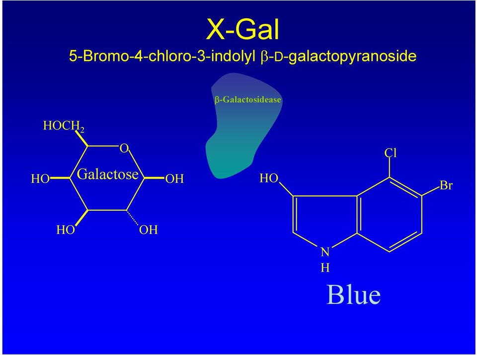 β-d-galactopyranoside