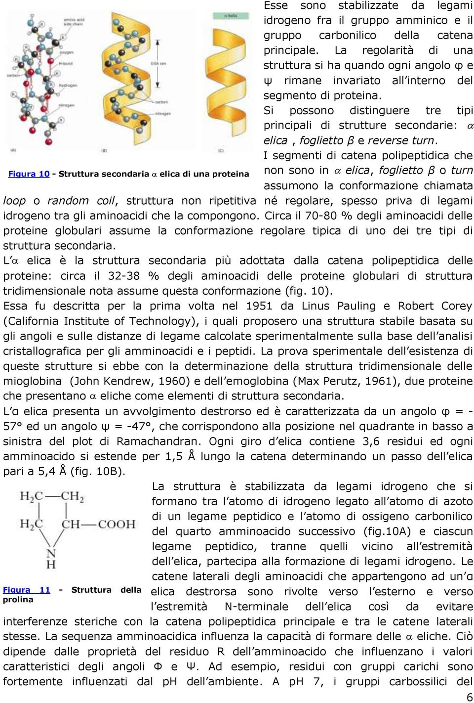 Si possono distinguere tre tipi principali di strutture secondarie: elica, foglietto β e reverse turn.