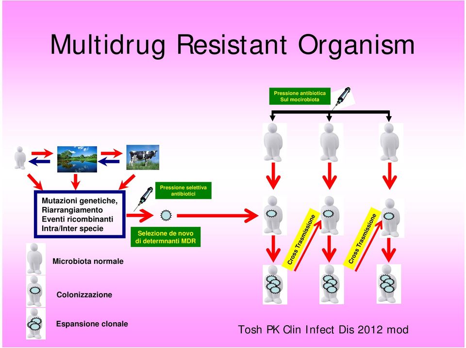 normale Pressione selettiva antibiotici Selezione de novo di determnanti MDR Cross