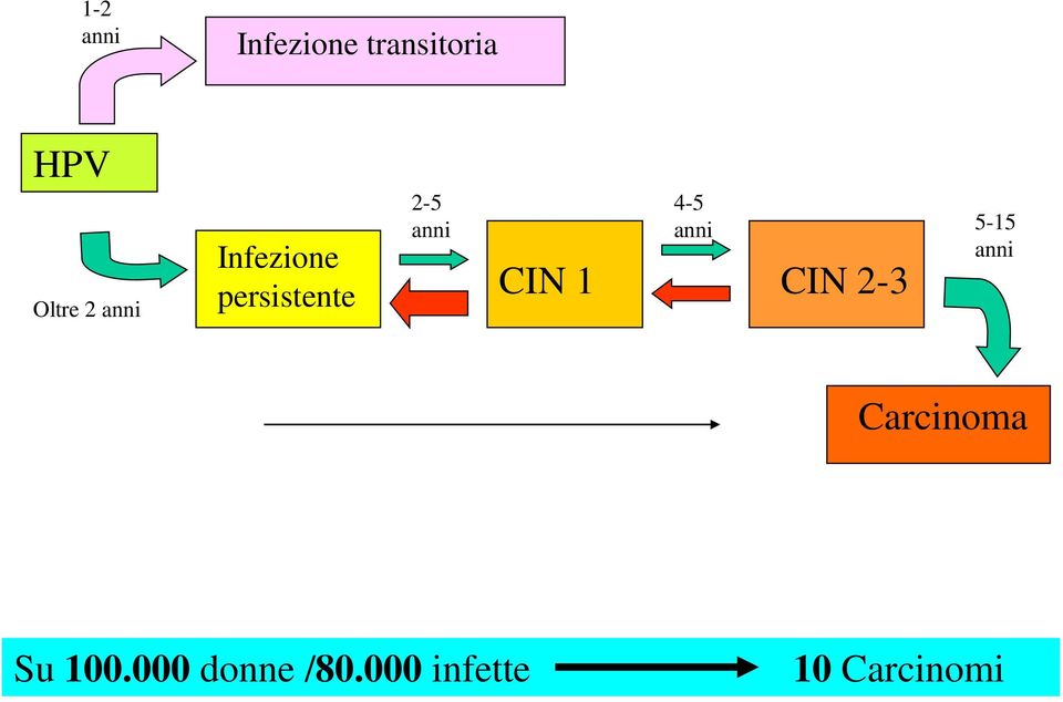 Infezione persistente CIN 1 CIN 2-3