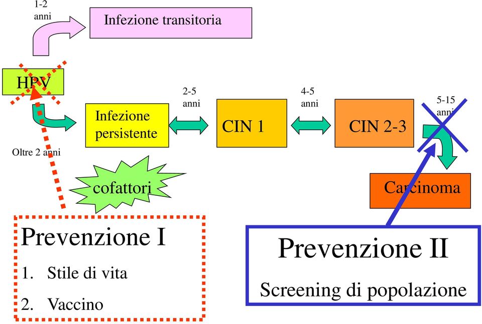 CIN 2-3 cofattori Prevenzione I 1. Stile di vita 2.
