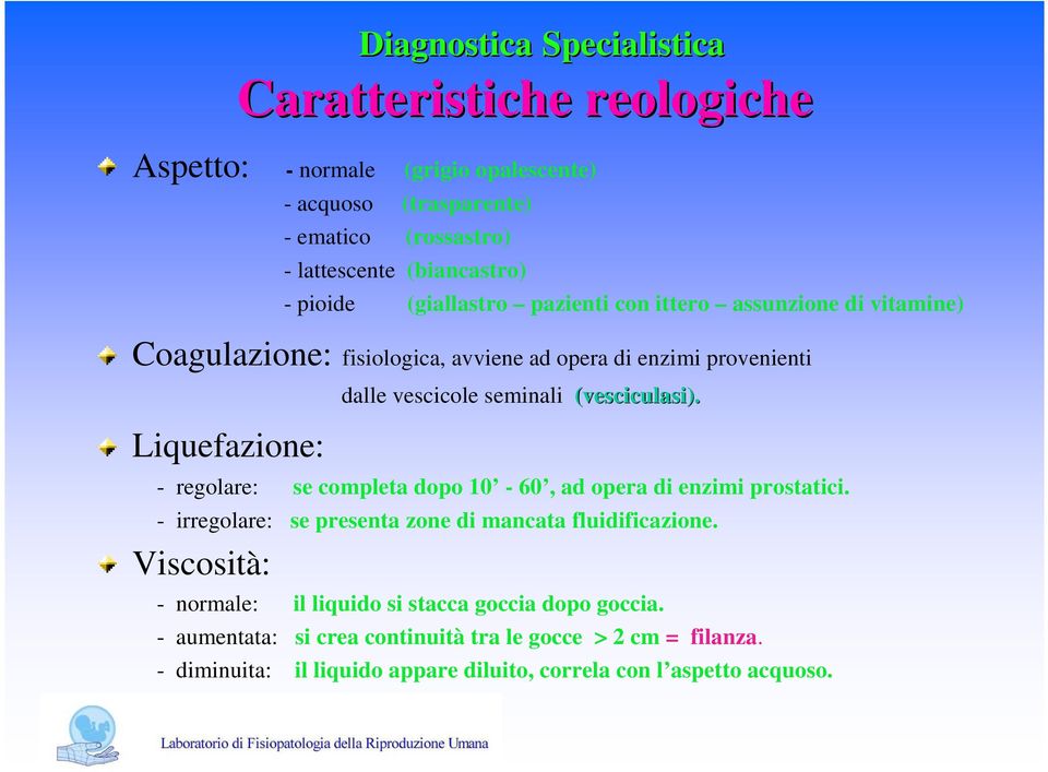 - regolare: se completa dopo 10-60, ad opera di enzimi prostatici. - irregolare: se presenta zone di mancata fluidificazione.