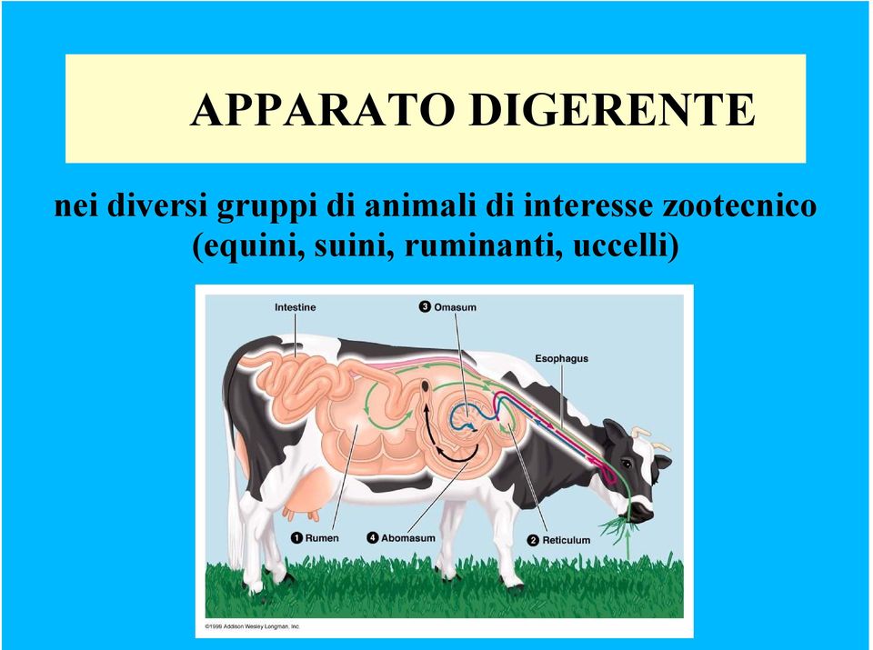 di interesse zootecnico