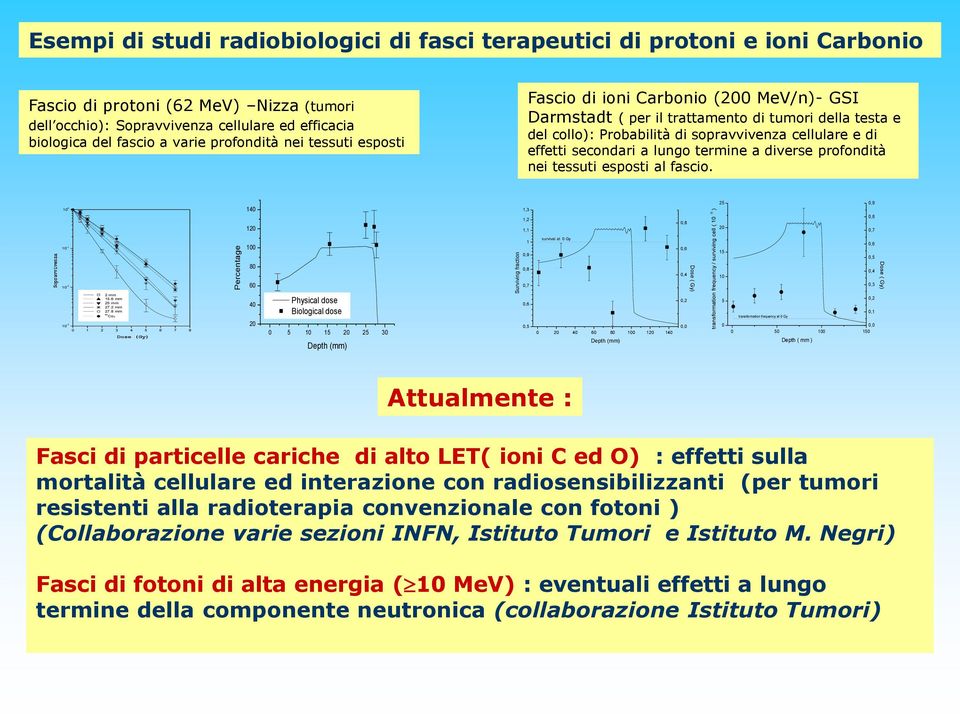 Darmstadt ( per il trattamento di tumori della testa e del collo): Probabilità di sopravvivenza cellulare e di effetti secondari a lungo termine a diverse profondità nei tessuti esposti al fascio.