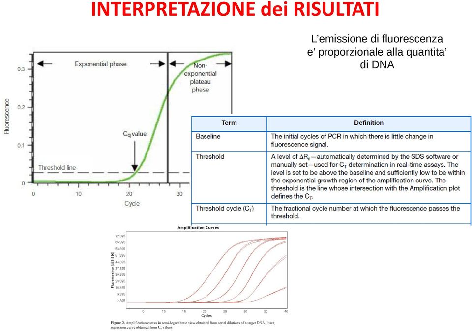 di fluorescenza e