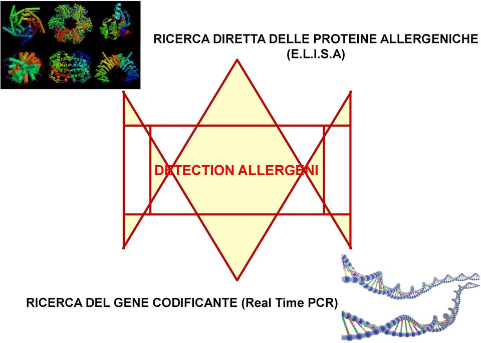 A) DETECTION ALLERGENI