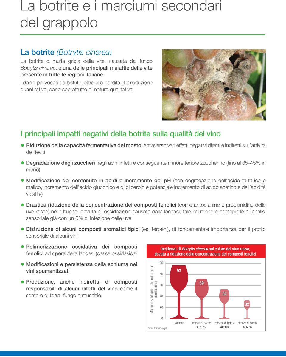 I danni provocati da botrite, oltre alla perdita di produzione quantitativa, L evoluzione sono CAA soprattutto - ammidi di dell acido natura qualitativa.