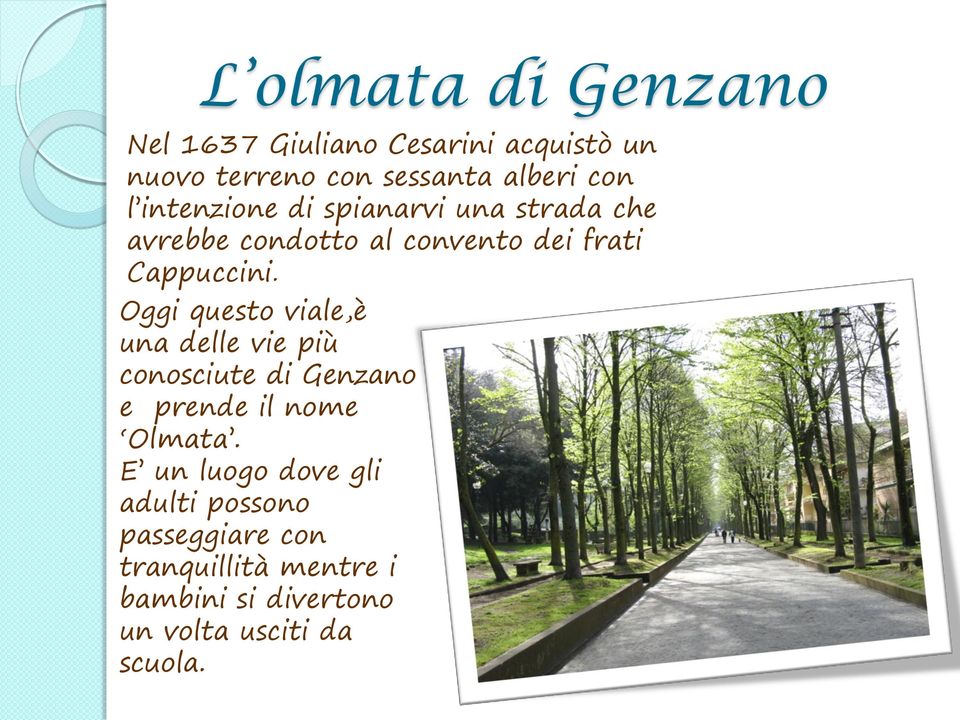 Oggi questo viale,è una delle vie più conosciute di Genzano e prende il nome Olmata.