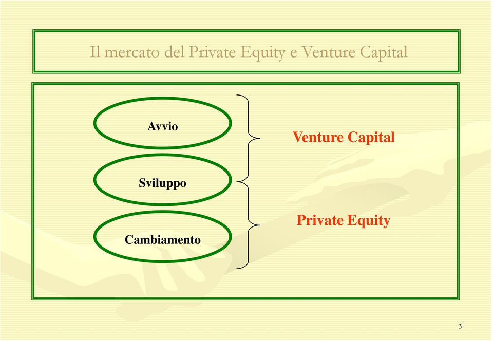 Avvio Venture Capital
